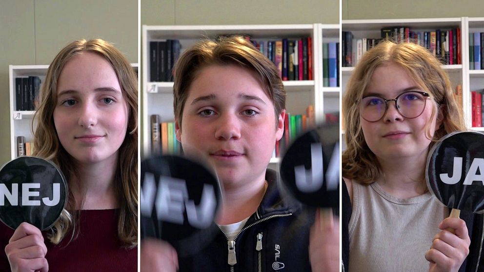 I videoklippen svarar fyra unga på fyra frågor kring deras liv online och riskerna som finns där.