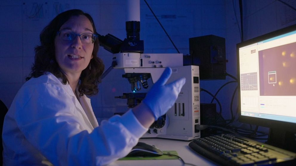 Nanomaterialsexperten Alba Hernandez sitter i labbet framför sin dator.