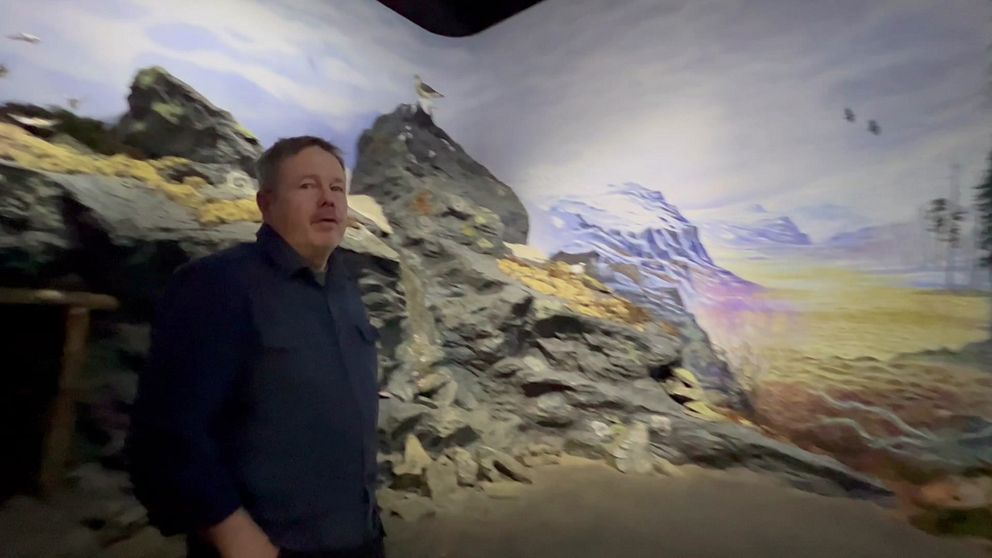 Ola Fransson, föreståndare för naturum Vålådalen står framför en målning i naturum.