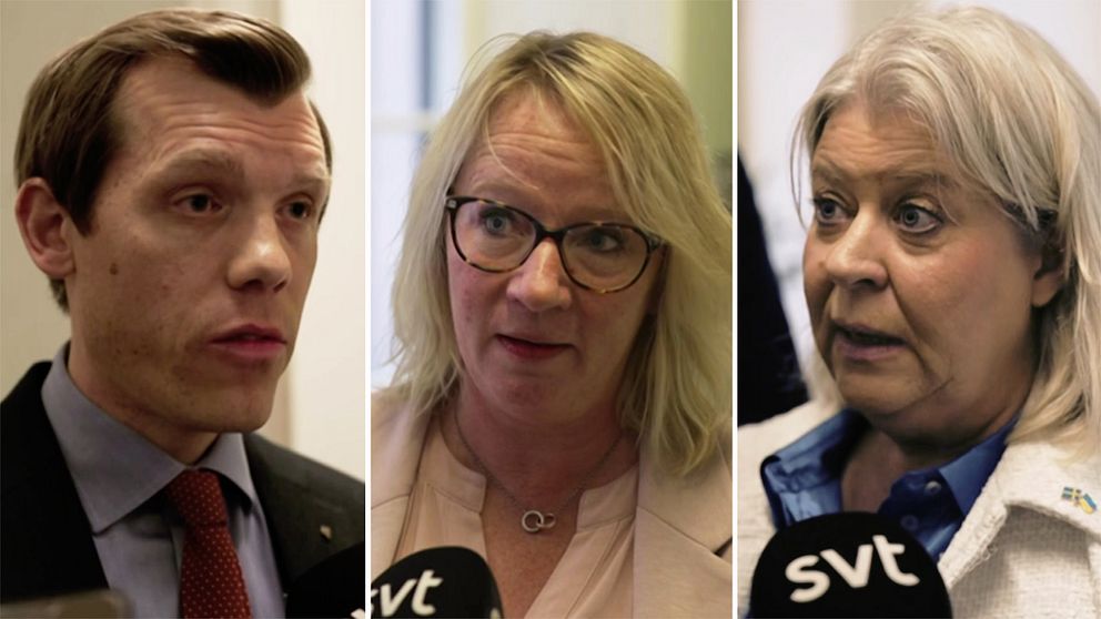 Johan Hultberg (M), Carina Ståhl Herrstedt (SD), ledamot socialutskottet, Camilla Waltersson Grönvall (M), Socialtjänstminister.