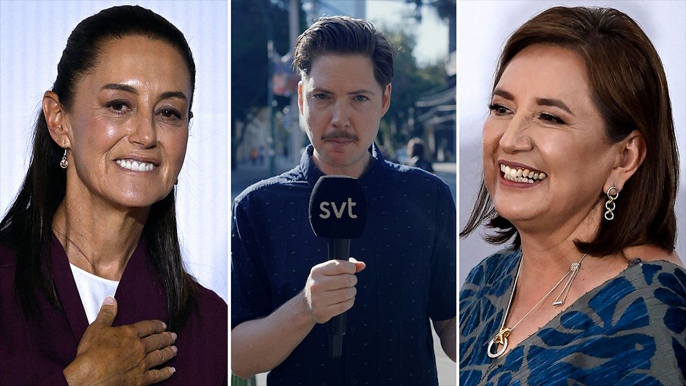 Claudia Sheinbaum, Tigran Feiler och  Xochitl Galvez.