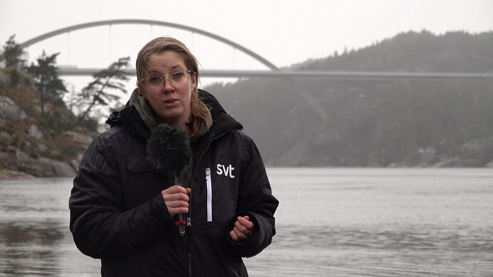 Reporter Lisa Johansson står framför bro, svinesundsbron