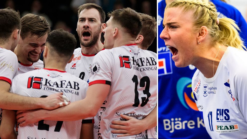 På lördag är det dags för SM-finaler i volleyboll. Lyckas Hylte/Halmstad och Engelholms VS försvara gulden?