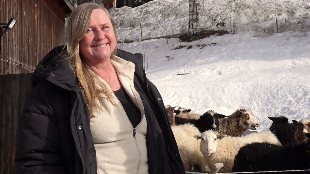 En kvinna ler framför flera får i Naggen i Ånge.