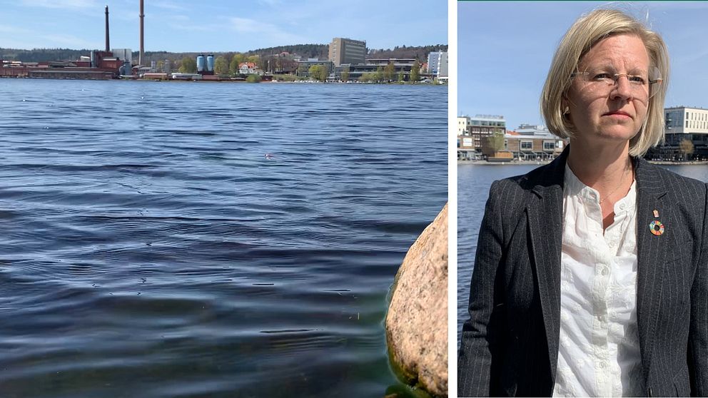 Till vänster en bild på Munksjön i Jönköping. Till höger en kvinna med ljust kort hår, glasögon, en mörk kavaj med en ljus skjorta