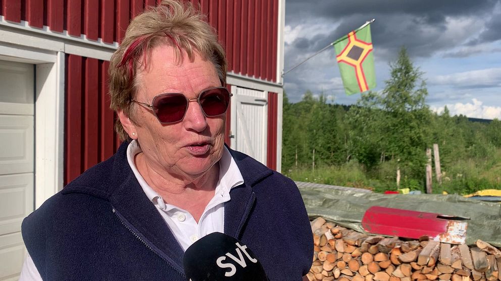 En kvinna pratar, till bakgrunden vajar skogsfinska flaggan.