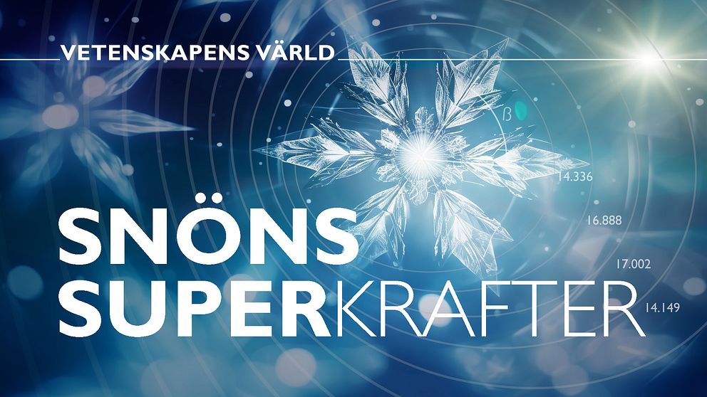 Snöflingor och programtiteln Vetenskapens värld Snöns superkrafter