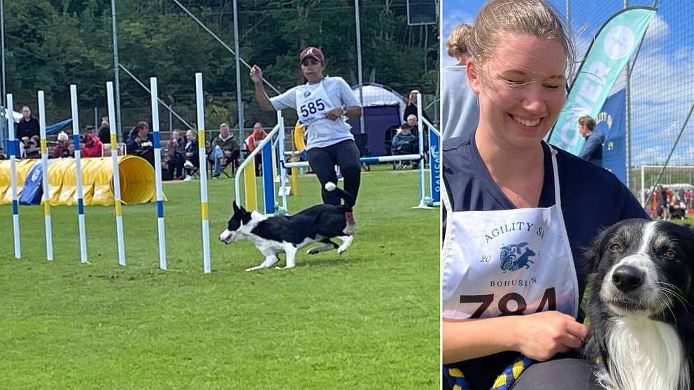 Agility i Stenungsund, deltagare med en hund