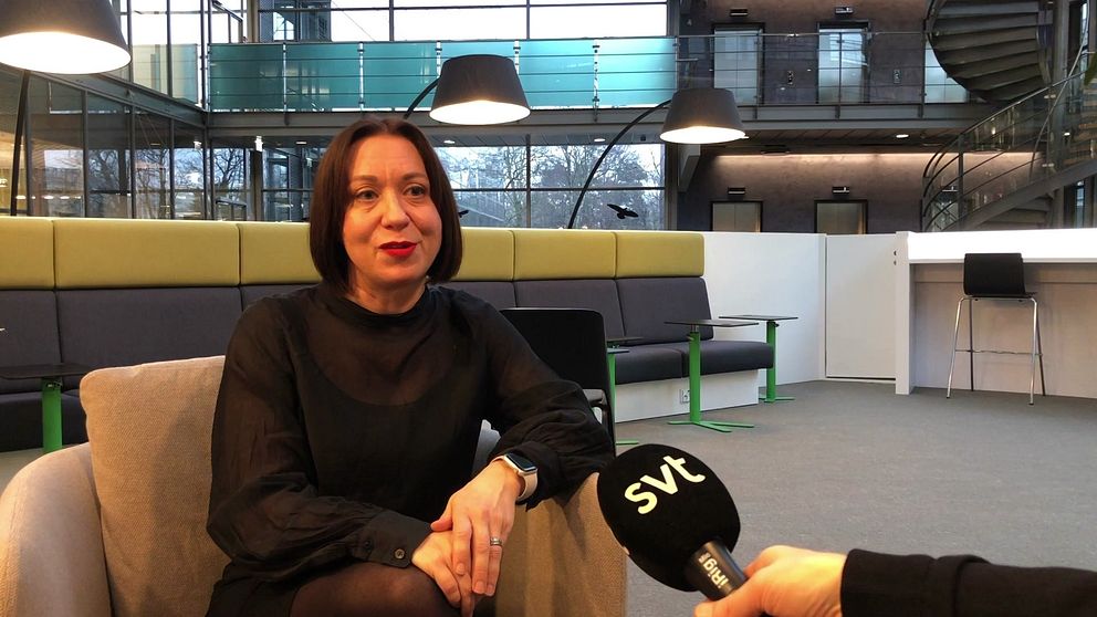Laura LIndeman Business Finland, Work in Finland