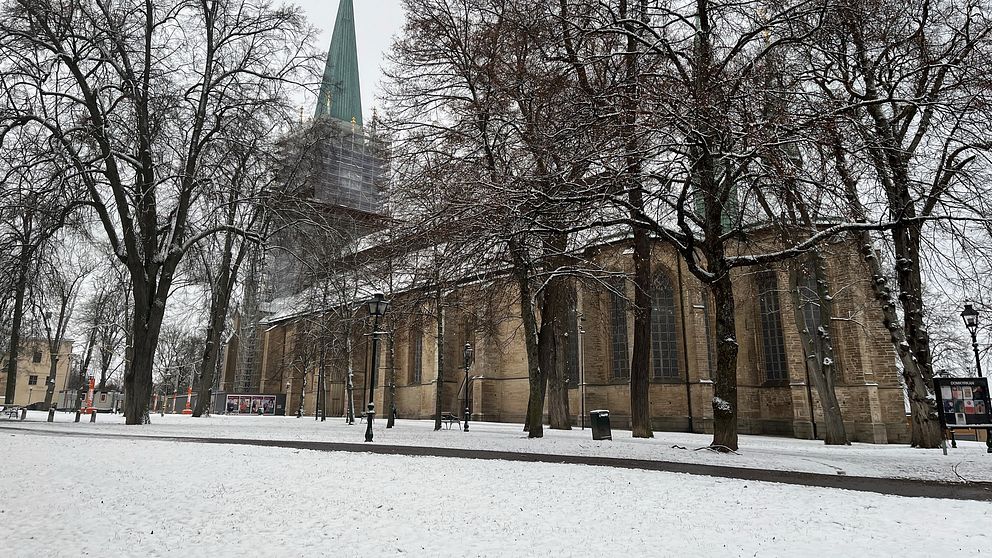 Vintervy av Linköpings domkyrka omgiven av snötäckta träd. Klar himmel och snötäckt mark.