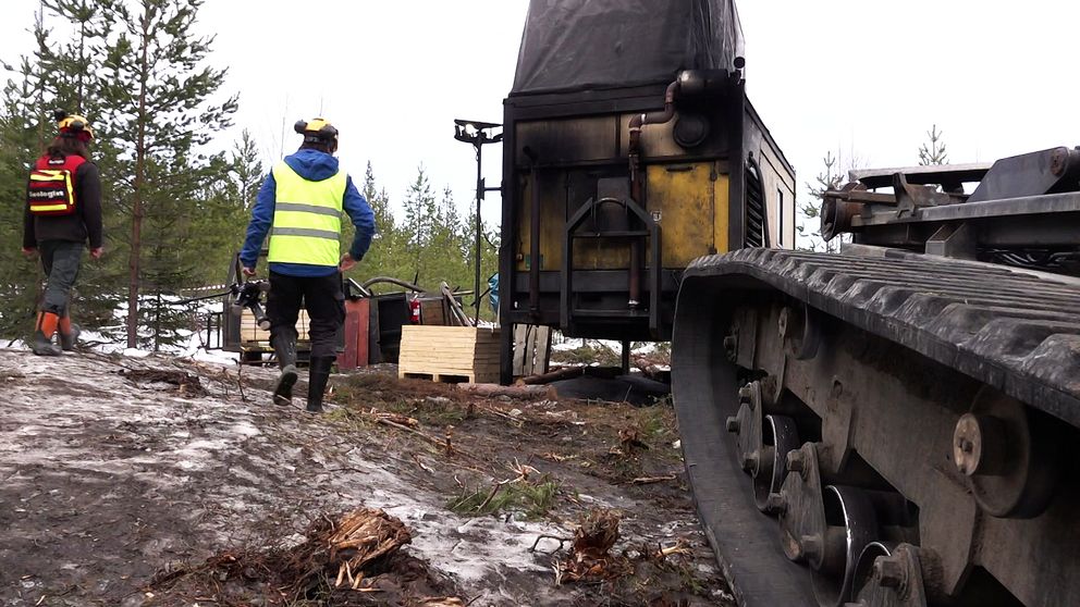 Provborrningar vid Barsele i Storumans kommun.