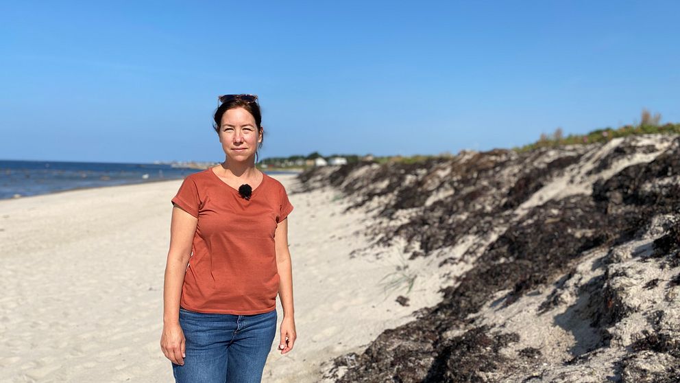 Skånes kuster äts upp av erosion, naturens egna lösningar kan vara lösningen på problemen.