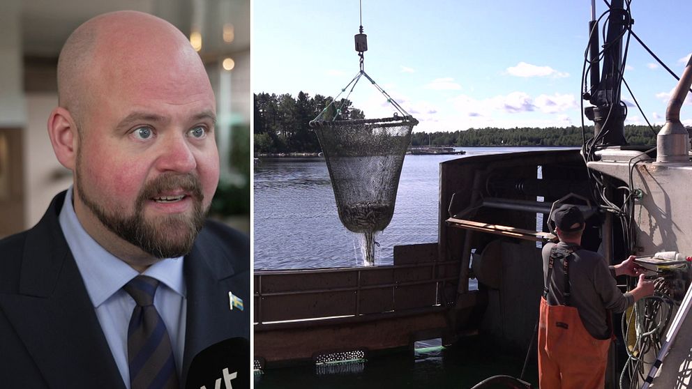 Till vänster: Landsbygdsminister Peter Kullgren. Till höger. Fiskebåt med strömming i nät.