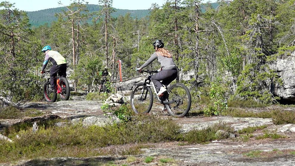 SVT:s reporter Anna Wallbrandt cyklar över stenar i Armasjärvi med Patrik Mämmi.