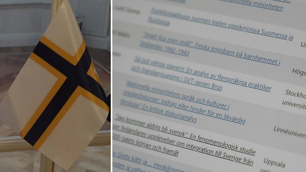 Kuva opinnäytetyögalleriasta ja ruotsinsuomalaisesta lipusta