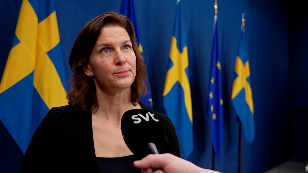 Svenska och EU-flaggor bakom SVT-mikrofon under intervju.