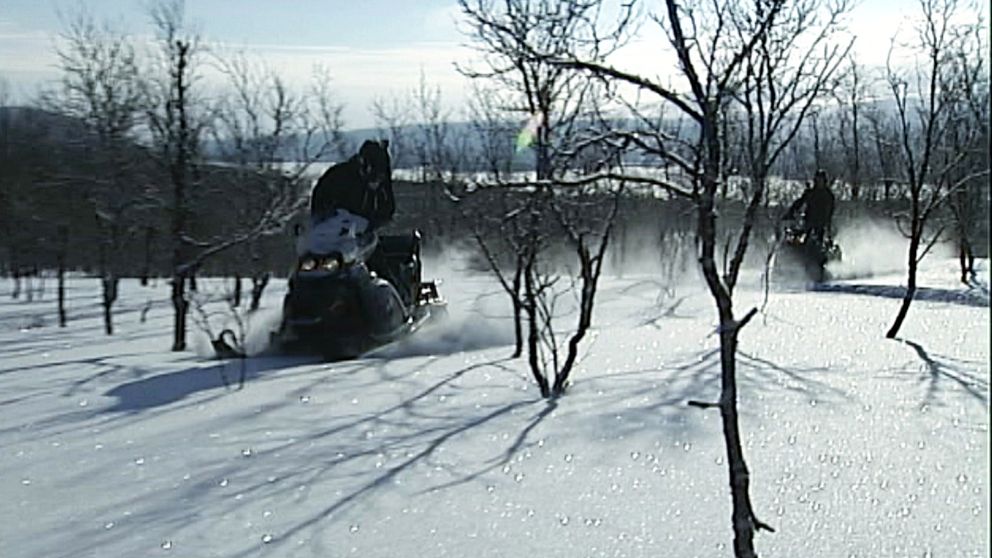 snöskotrar kör i skogen