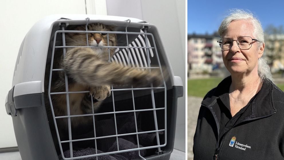 Splitbild med en katt i bur till vänster och länsveterinären Mikaela till höger