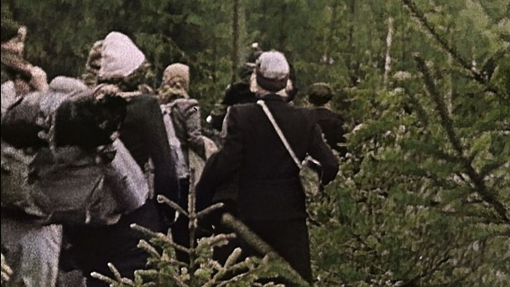 Människor med packning vandrar genom tät skog, omgivna av granar och tallar.