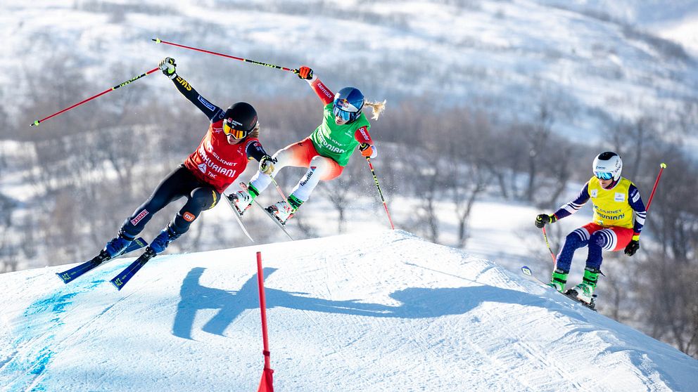 För få kvinnor i skicross tycker Sandra Näslund