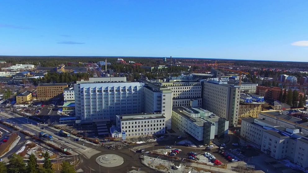 drönarbild över NUS i Umeå