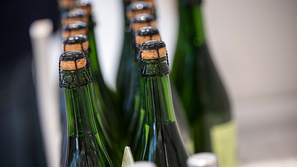 Flera gröna champagneflaskor står uppradade med korkarna tätt tillsammans.