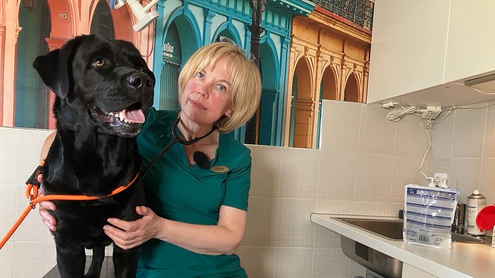 En veterinär håller om en svart hund. De sitter i ett undersökningsrum.