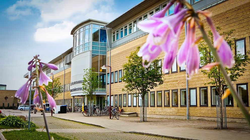 En av entréerna till Umeå universitet under sommaren. I förgrunden syns två rosa blommor