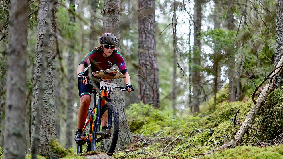 Mountainbikecyklist med en karta på styret orienterar i skogen.