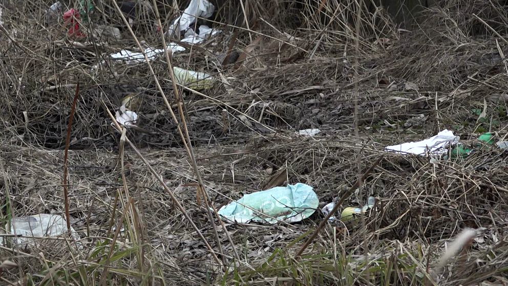 Väldigt mycket skräp ligger på marken. Glasflaskor, plastpåsar och burkar.