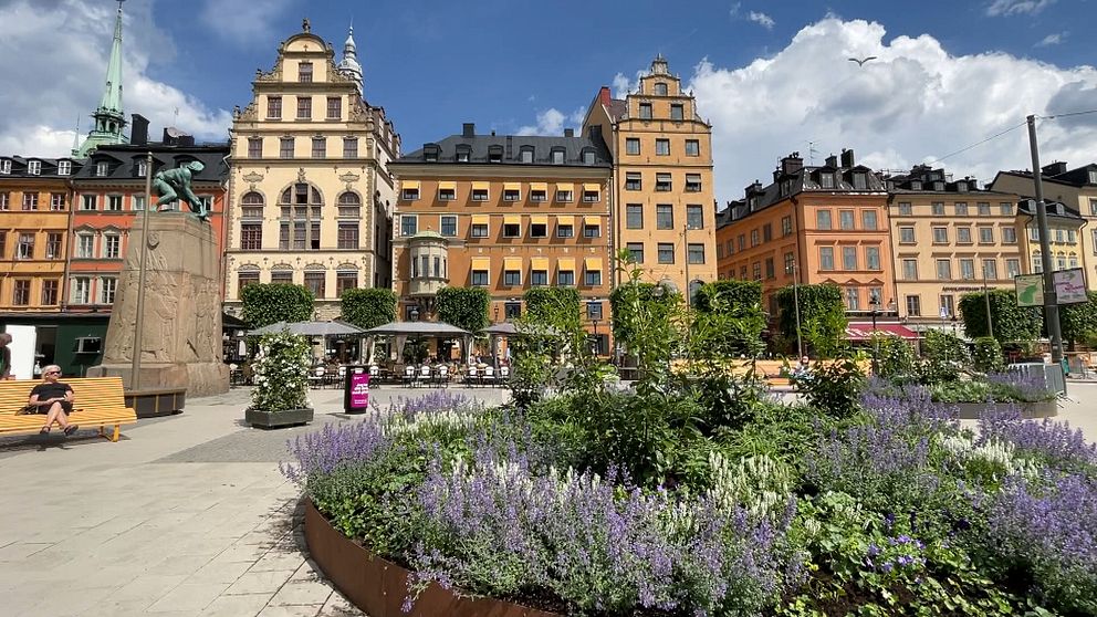 Parkeringsplatserna på Kornhamnstorg har nu ersatts med bänkar och planteringar med blommor.