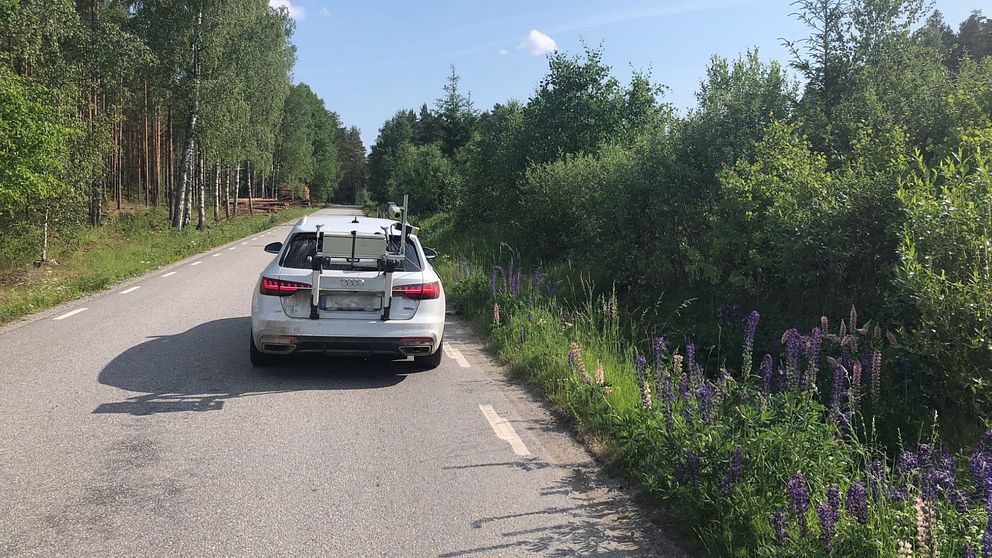 Trafikverket vill utveckla metoden att leta upp invasiva växter utefter vägarna. Hör mer i videon.