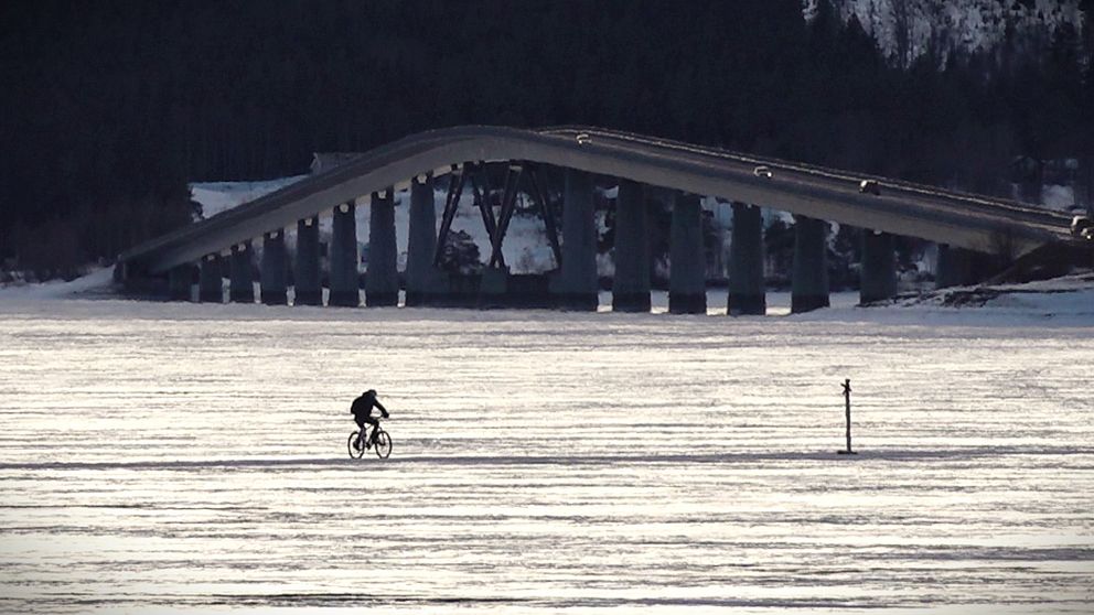 Vallsundsbron över Storsjön ses i bakgrunden. Cyklist cyklar över isen framför bron.