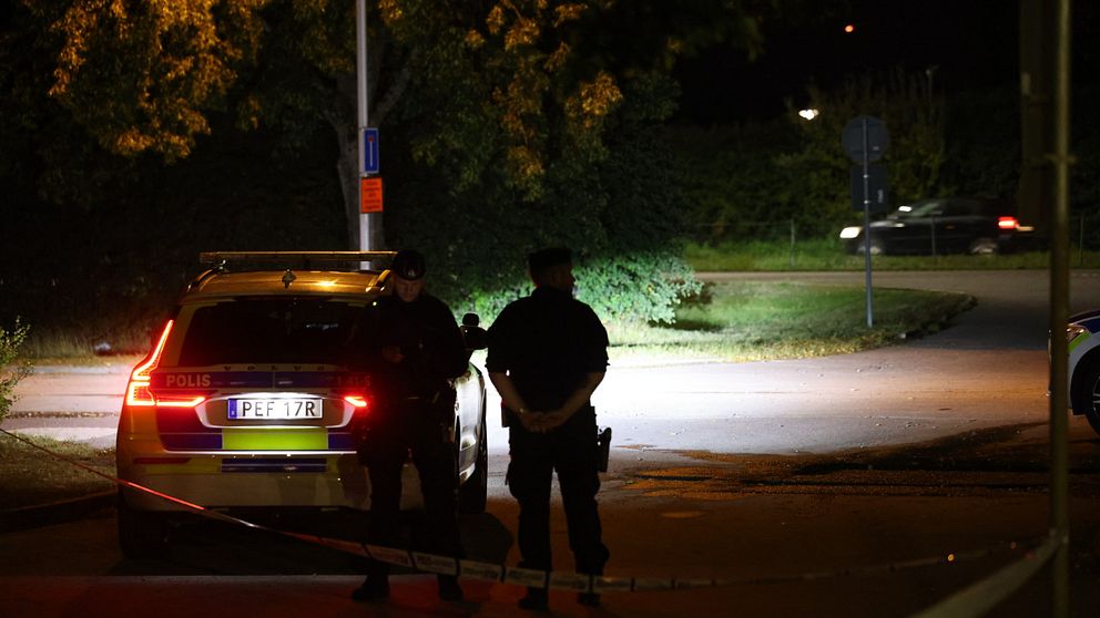 Poliser i Årby