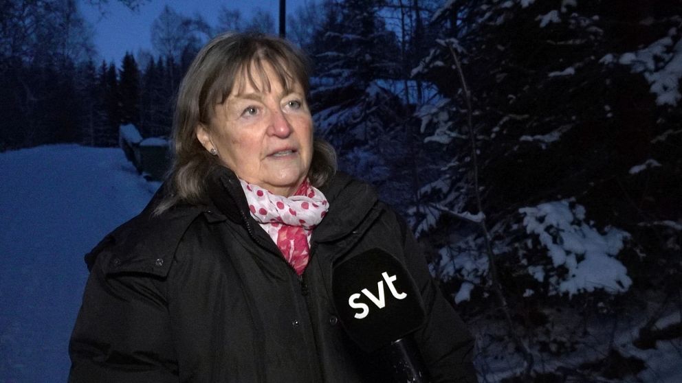 Bisse Falk från Naturskyddsförningen står i en snöig skog i skymningen och intervjuas.
