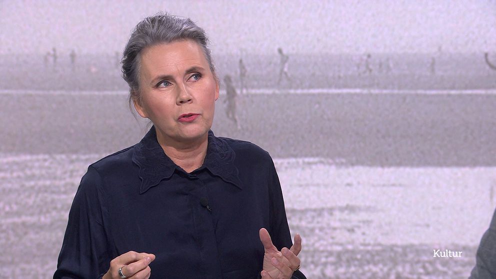 Kulturnyheternas litteraturkritiker Ulrika Milles