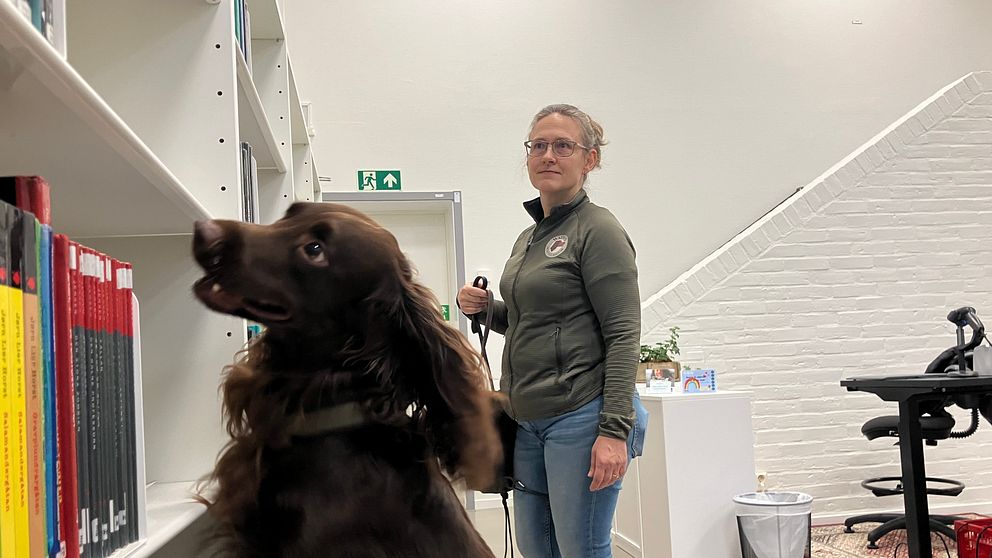 En hund stående på framfötterna vid en bokhylla, med böcker i röd och svart färg. En person i bakgrunden håller i en koppel och står i ett ljust, modernt bibliotek med en trappa i bakgrunden.