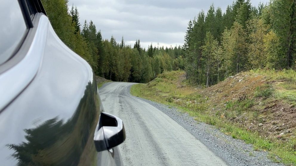 En väg nära byn Ankarsund i Storumans kommun som slingrar sig genom en skogig miljö, sedd från passagerarsidan av en bil. Den grusade vägen är omgiven av träd med höstfärger.
