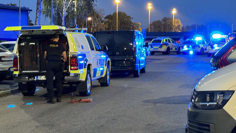 Polisen fick larm klockan 18.43 på onsdagen om en skottlossning vid Mälarhöjdens idrottsplats i Fruängen i södra Stockholm. Väl på plats anträffades en skottskadad man. Hans liv gick inte att rädda.