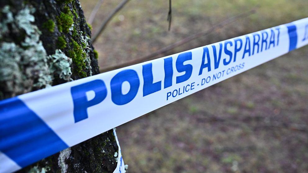Polisens avspärrningsband syns vid ett träd i en utomhusmiljö.