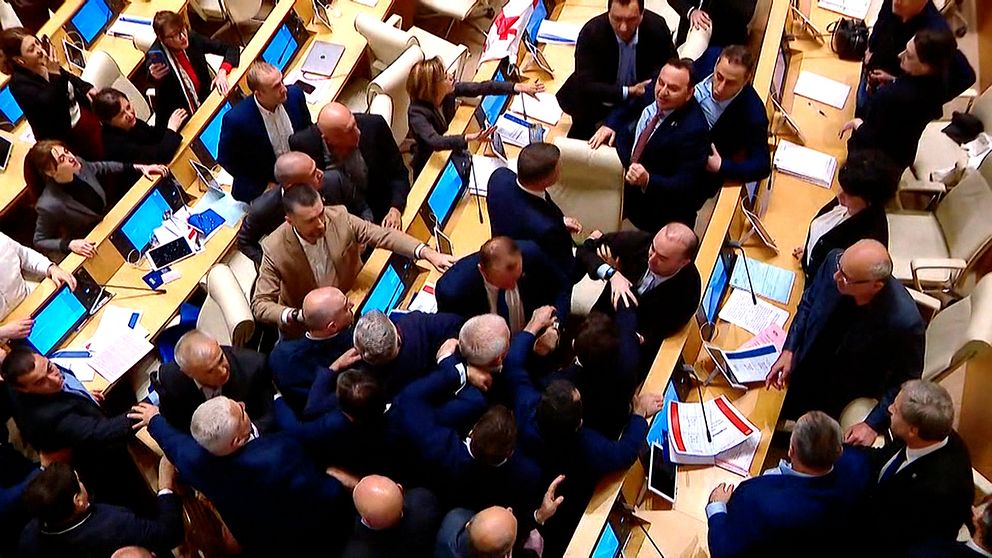 Ledamöter i det georgiska parlamentet ryker ihop under tisdagen