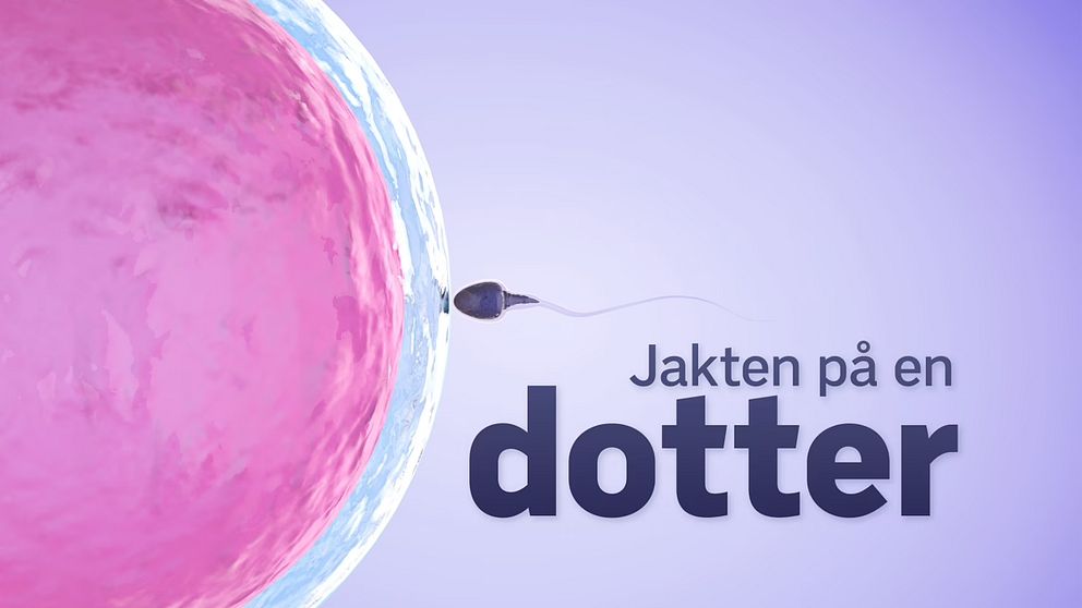 Jakten på en dotter