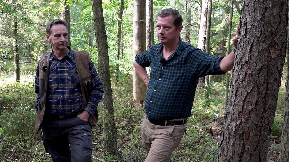 Owe Johansson och Mattias Wahle står i skogen.
