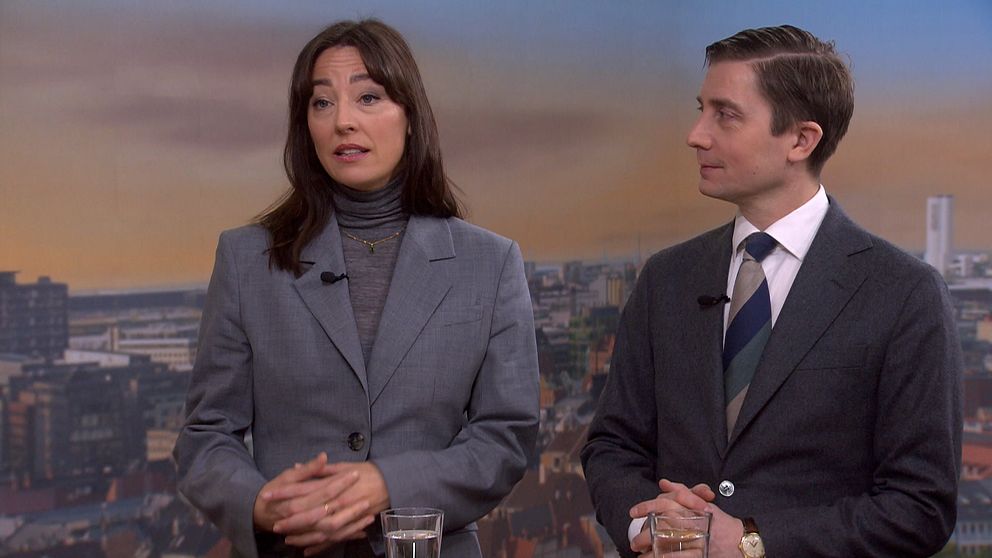 Politikexperter kommenterar SD:s utspel