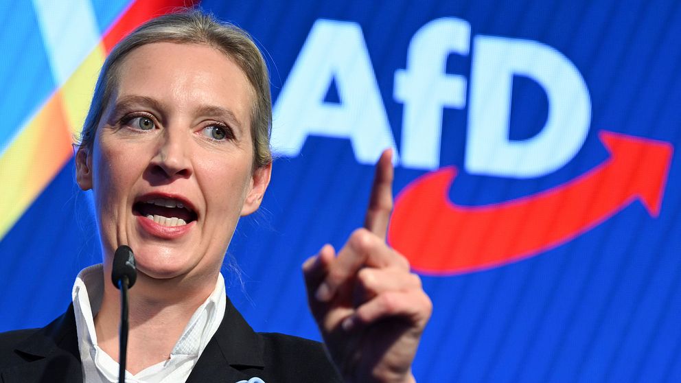 Person i kostym talar framför AfD:s logotyp och pekar med fingret i luften.