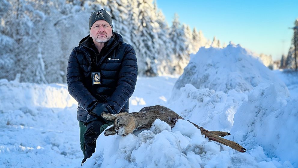 Martin Trostemo vid polisen, en man med polisbricka och dunjacka poserar vid ett påkört rådjurskid längs en bilväg.