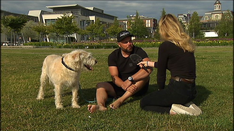 Arthur, hans husse Mikael Lindnord och SVT Västernorrlands reporter.