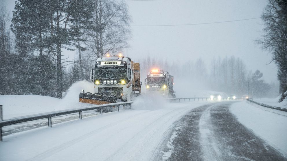 Snöfall, vind och orange varning – vad undrar du om snöovädret? | SVT ...