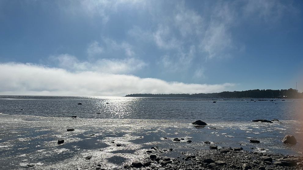 Hårte, Hälsingland den 23/3.