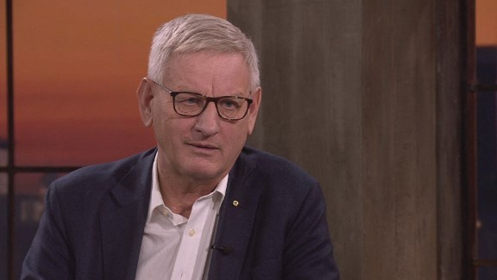 Carl Bildt